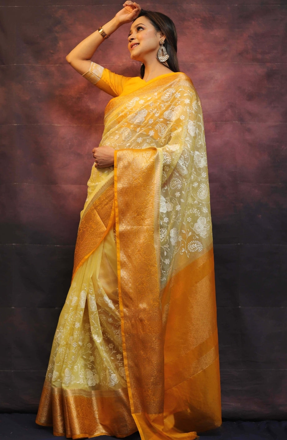 Organza Silk Chikankari Resham Embroidery Work Saree