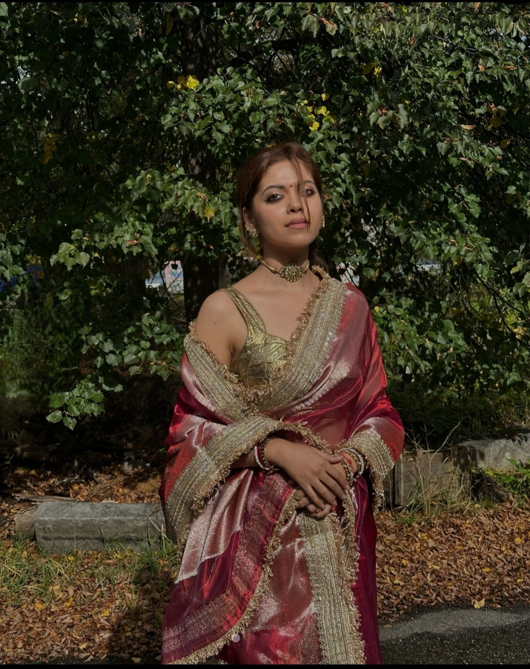 Banarasi Tissue Silk Sequence Zari Lace Saree With Dual Tone Pattern