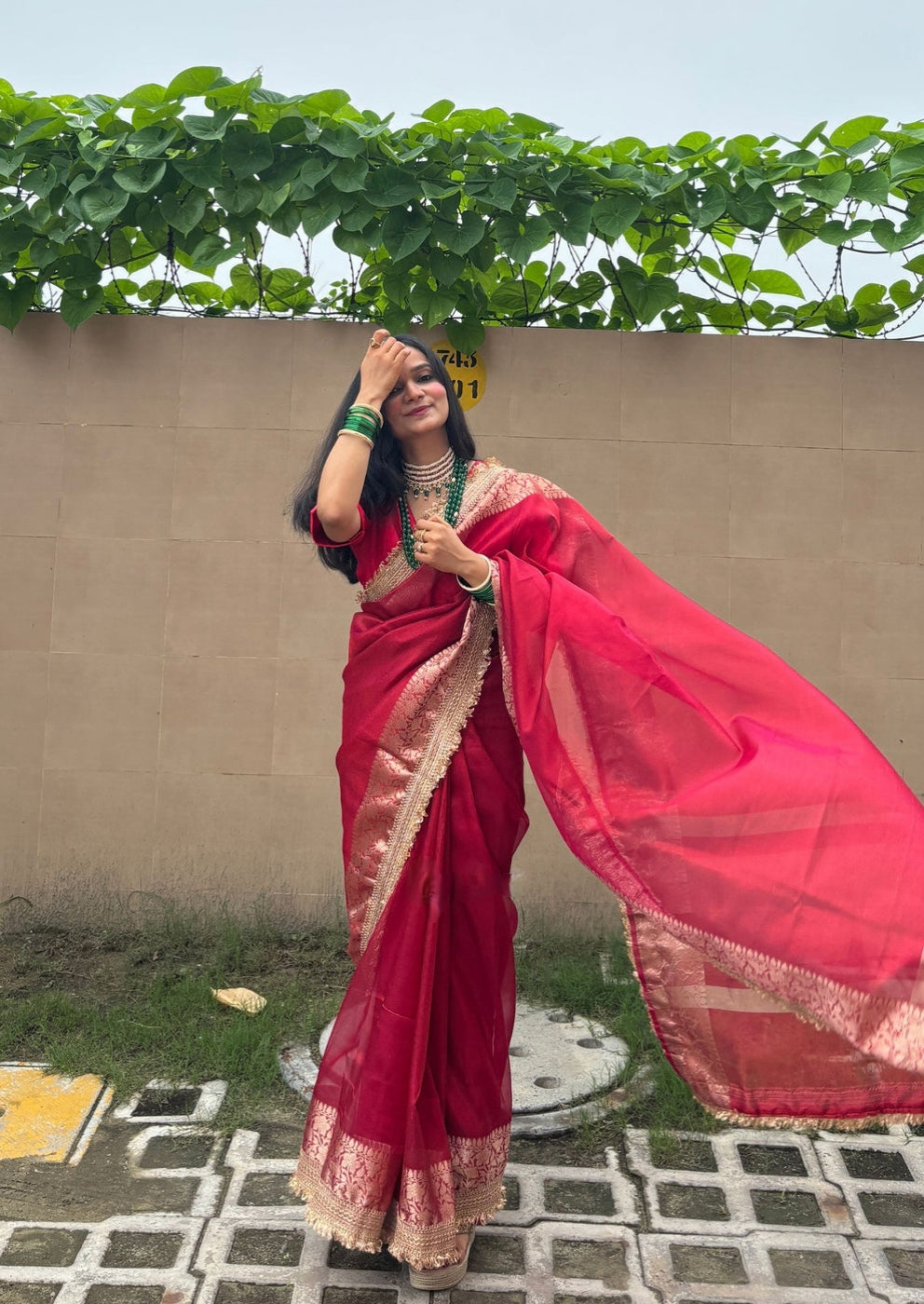 Banarasi Tissue Silk Sequence Zari Lace Saree With Dual Tone Pattern