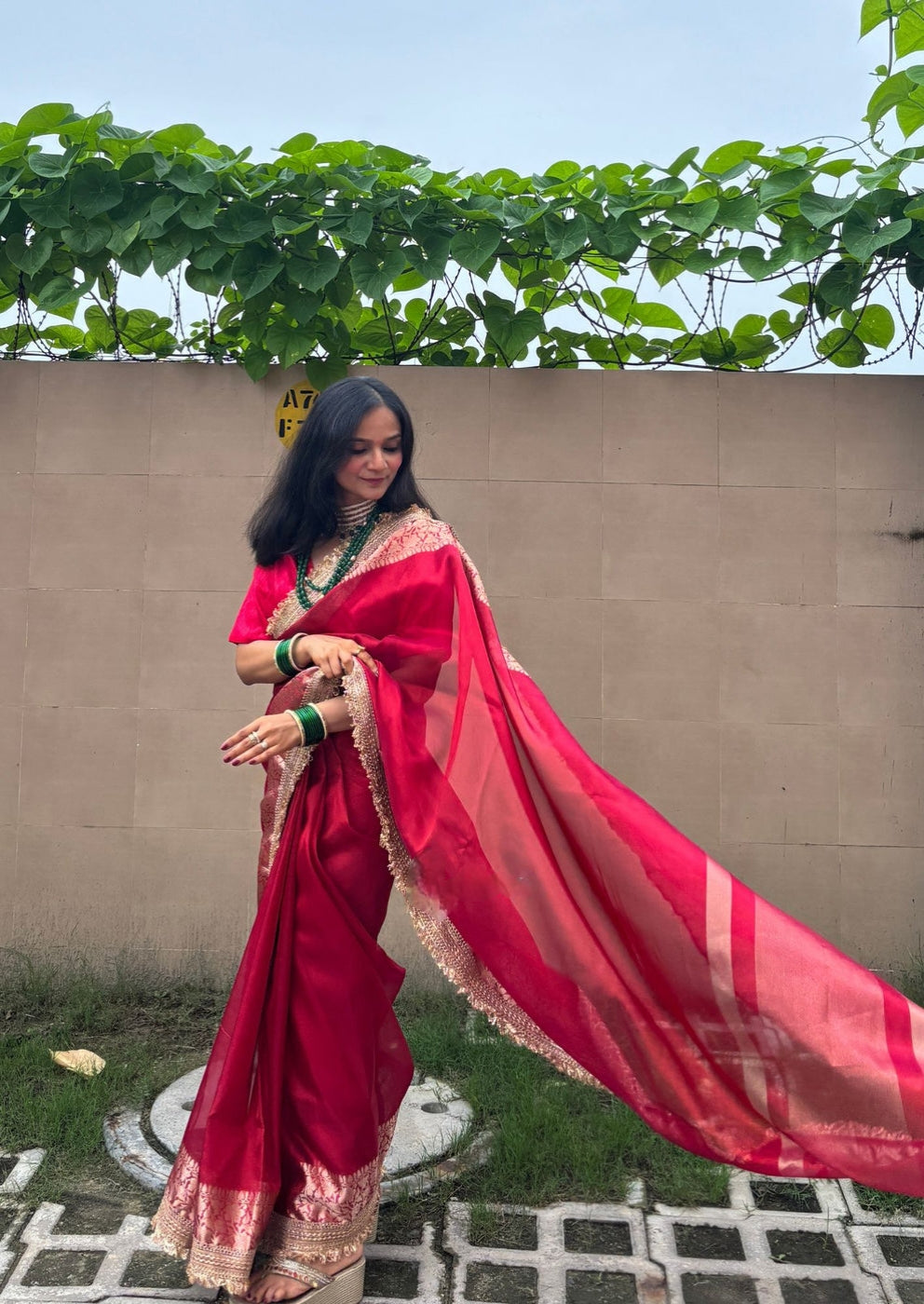 Banarasi Tissue Silk Sequence Zari Lace Saree With Dual Tone Pattern