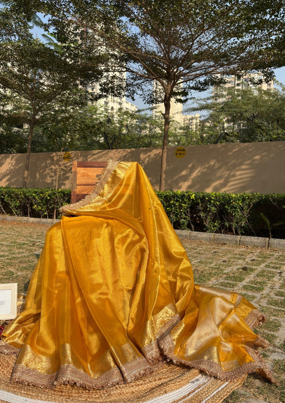 Banarasi Tissue Silk Sequence Zari Lace Saree With Dual Tone Pattern